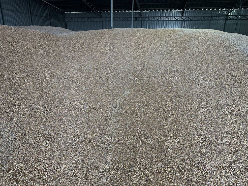 Кукурудза , пшениця , соєва макуха   15 тонн.