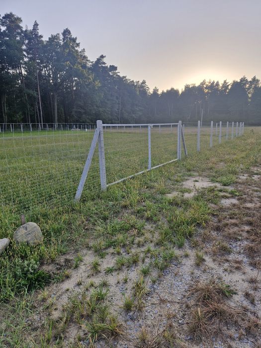 Ogrodzenie z siatki leśnej