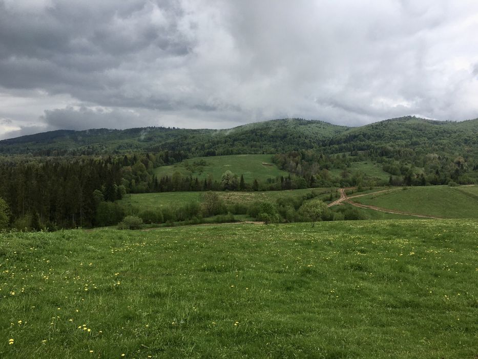 Земельна ділянка в карпатах
