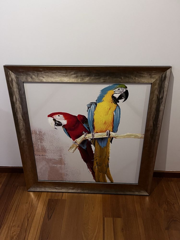 Quadro papagaios