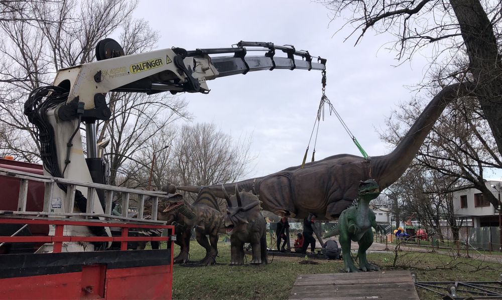 Transport Hds 8 ton. Kontenery 20”.Trawers. Gabaryty kat 2.320cmx330cm