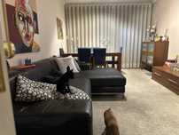 Sofa com chaise Longue em pele sintetica