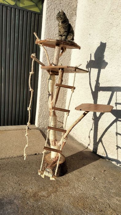 Trepador para gatos