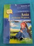 Książka Ania z Zielonego wzgórza
