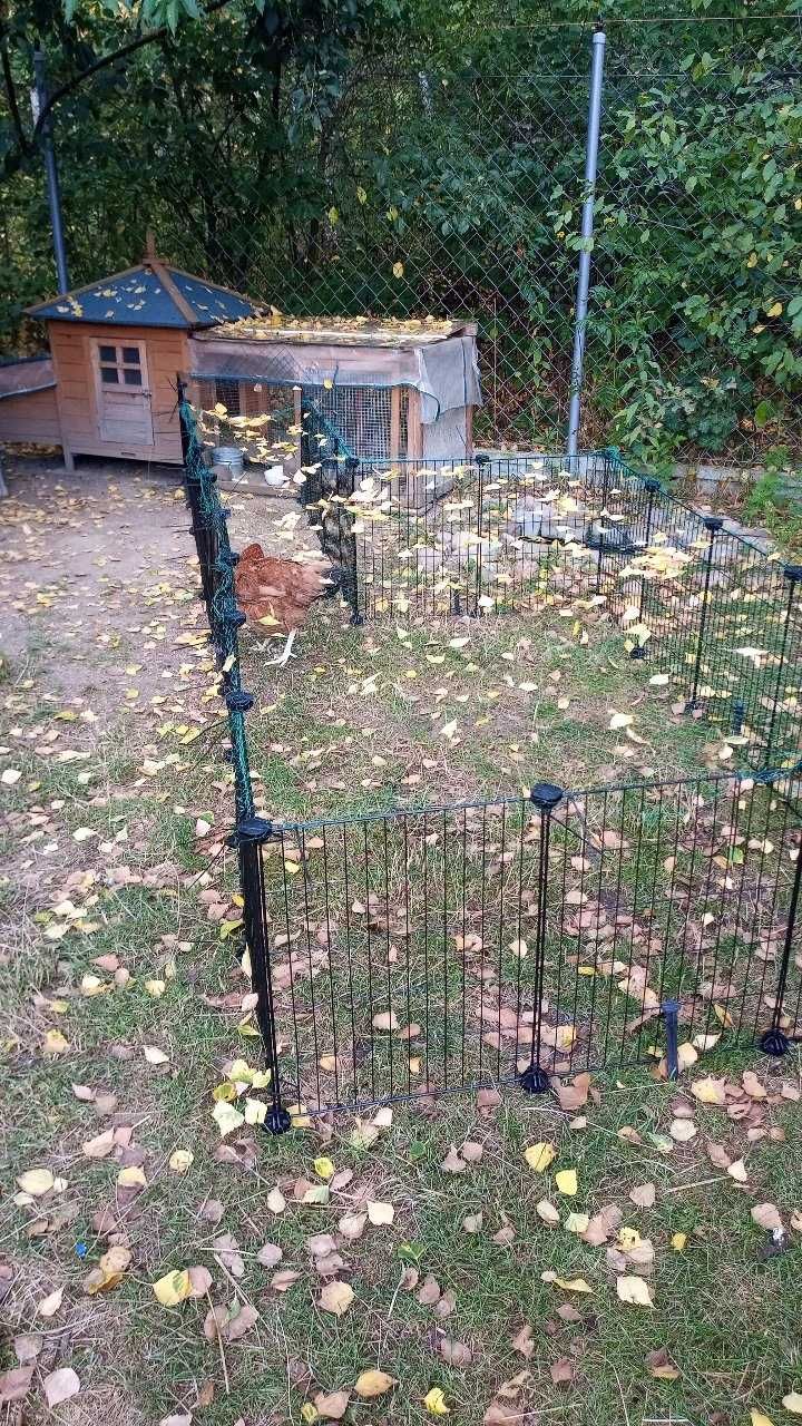 Modułowy Solidny Metalowy Wybieg Dla Kury Nioski STAL NIERDZEWNA