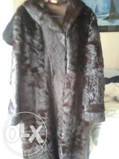 Oportunidade - baixa de preço - Casaco de Pele Castanho