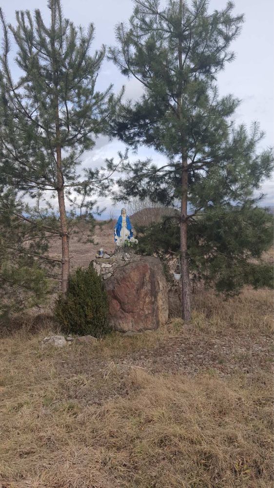 ТЕРМІНОВО продаю земельну ділянку в Тячеві