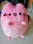 Nowy kot pusheen różowy