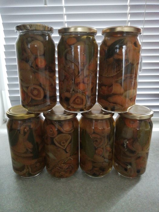 3 Rydze marynowane 500 ml