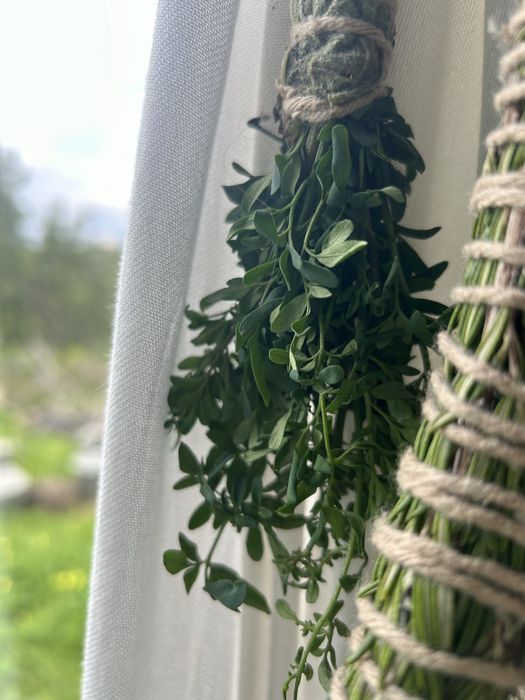 Tochas de Arruda, Alecrim, Alfazema, Boldo