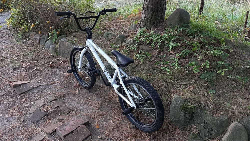 Rower Młodzieżowy Bmx Fishbone P1000 do Skakania Rotor 360 4 Pegi 20