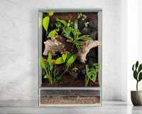 Las w szkle terrarium paludarium