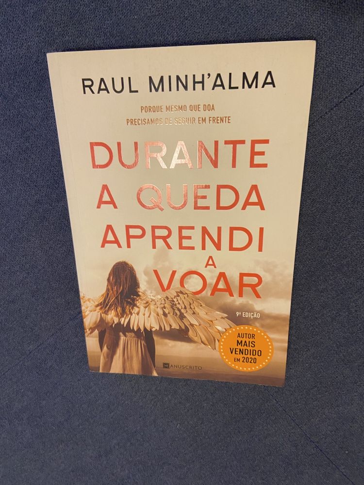 Livro: Durante a queda aprendi a voar