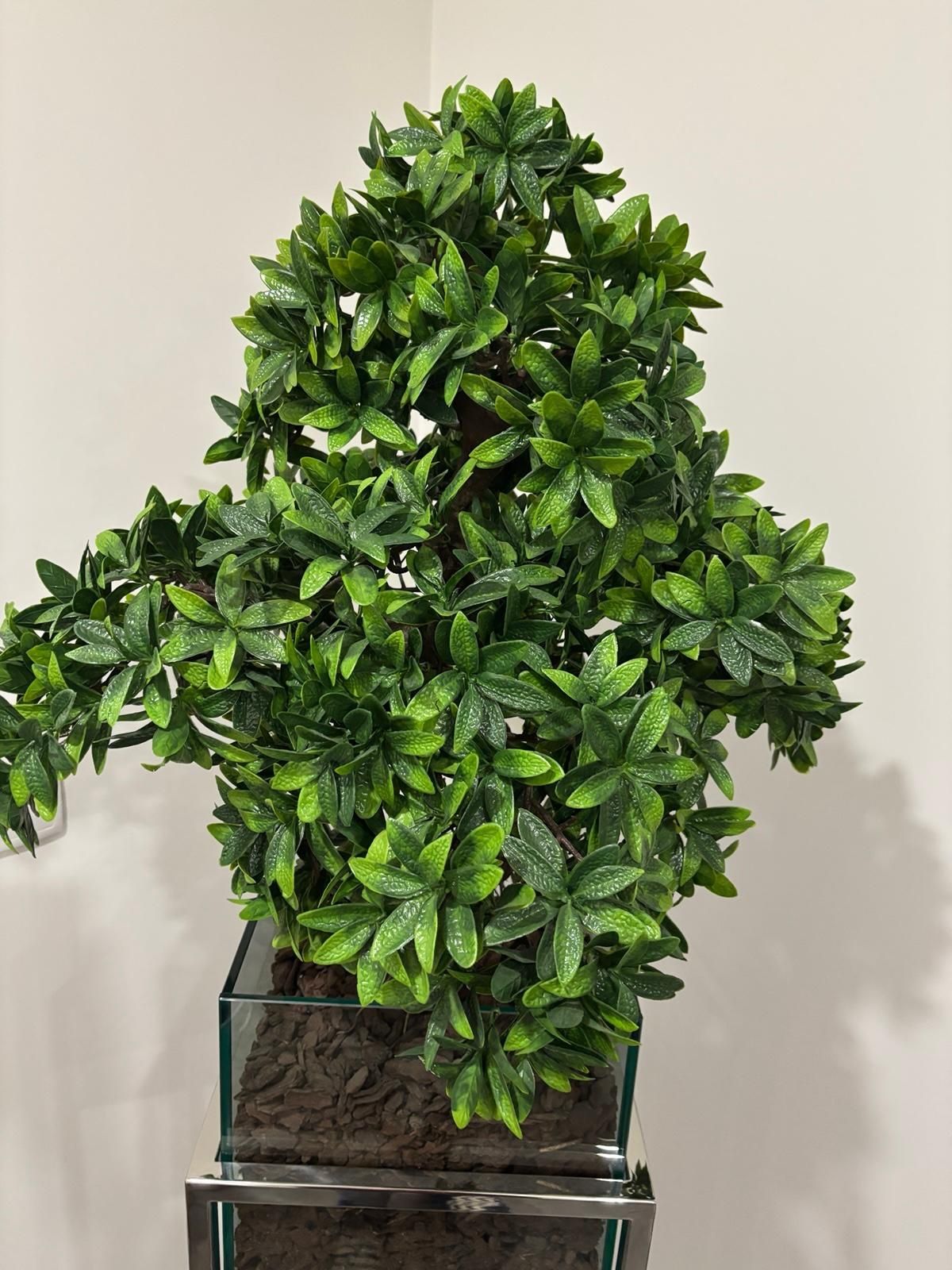 Floreiras Inox com planta