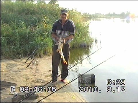 Прикормка "Домашняя." .Карп, Амур,Толстолоб.Технопланктон.