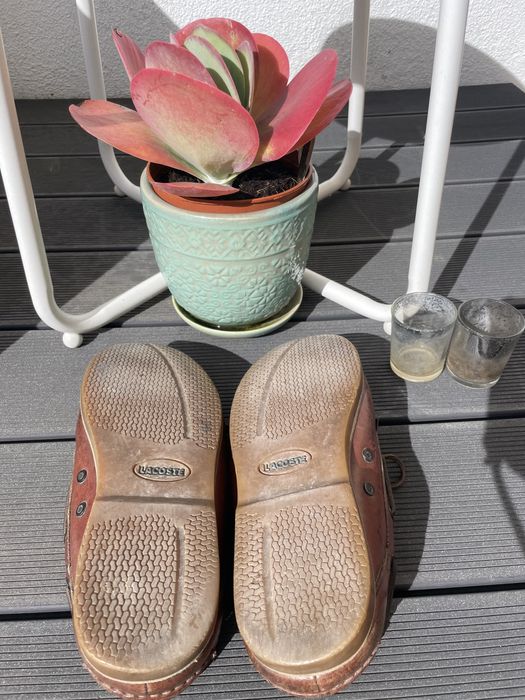 Sapatos vela Lacoste