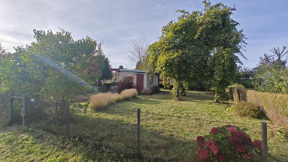 Działka ROD Mikolaja Reja, 300m2