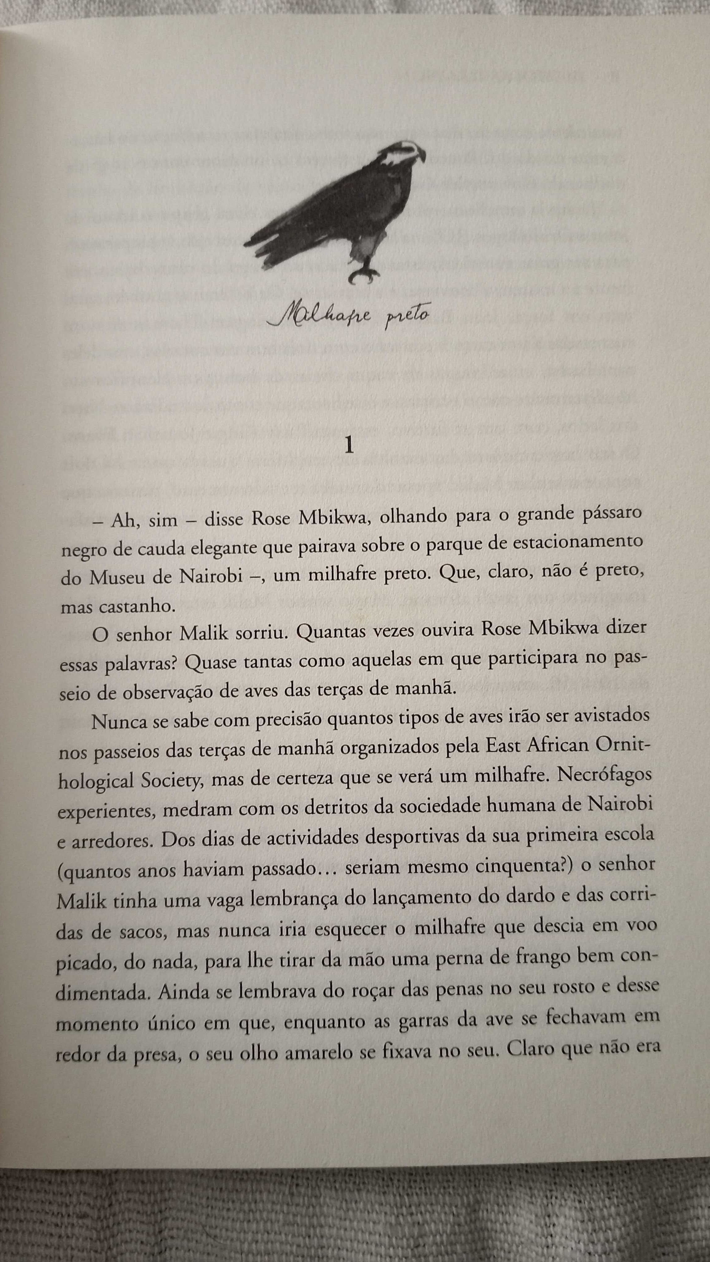 As Asas do Amor de Nicholas Drayson