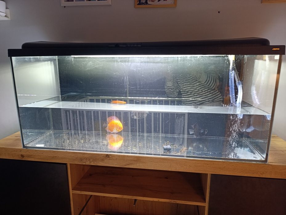 Akwarium z pokrywą. 240l