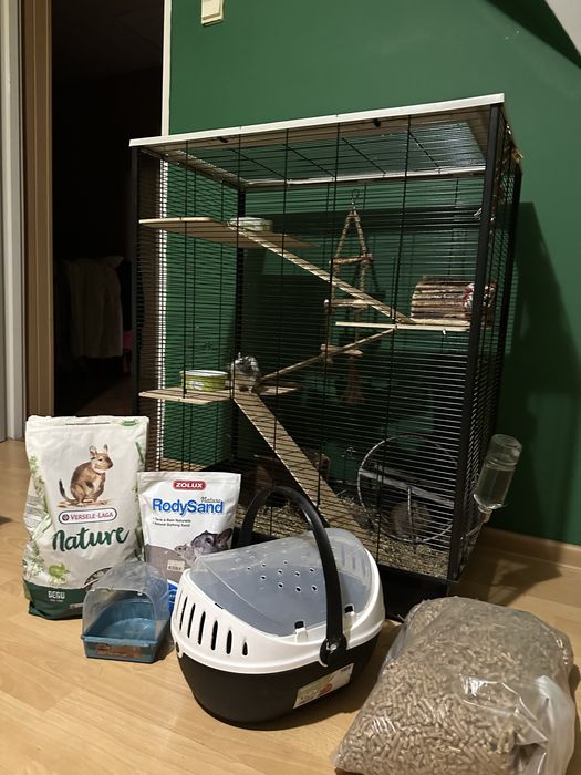 2 koszatniczki + DUŻA klatka z pełnym wyposażeniem