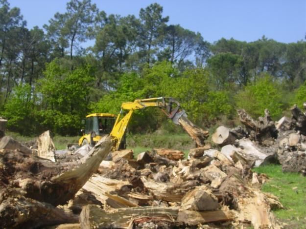 Venda de lenha para aquecimento 23m3