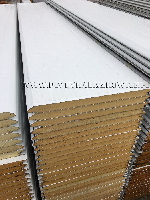 Płyta obornicka bramowa, panel segmentowy, kolor biały, 40mm 2 gatunek