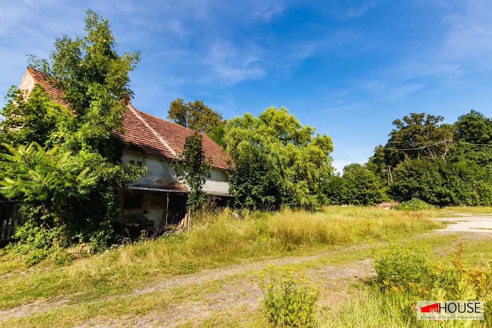 Baza dla Twojej firmy - Tomaszów Bolesławiecki.