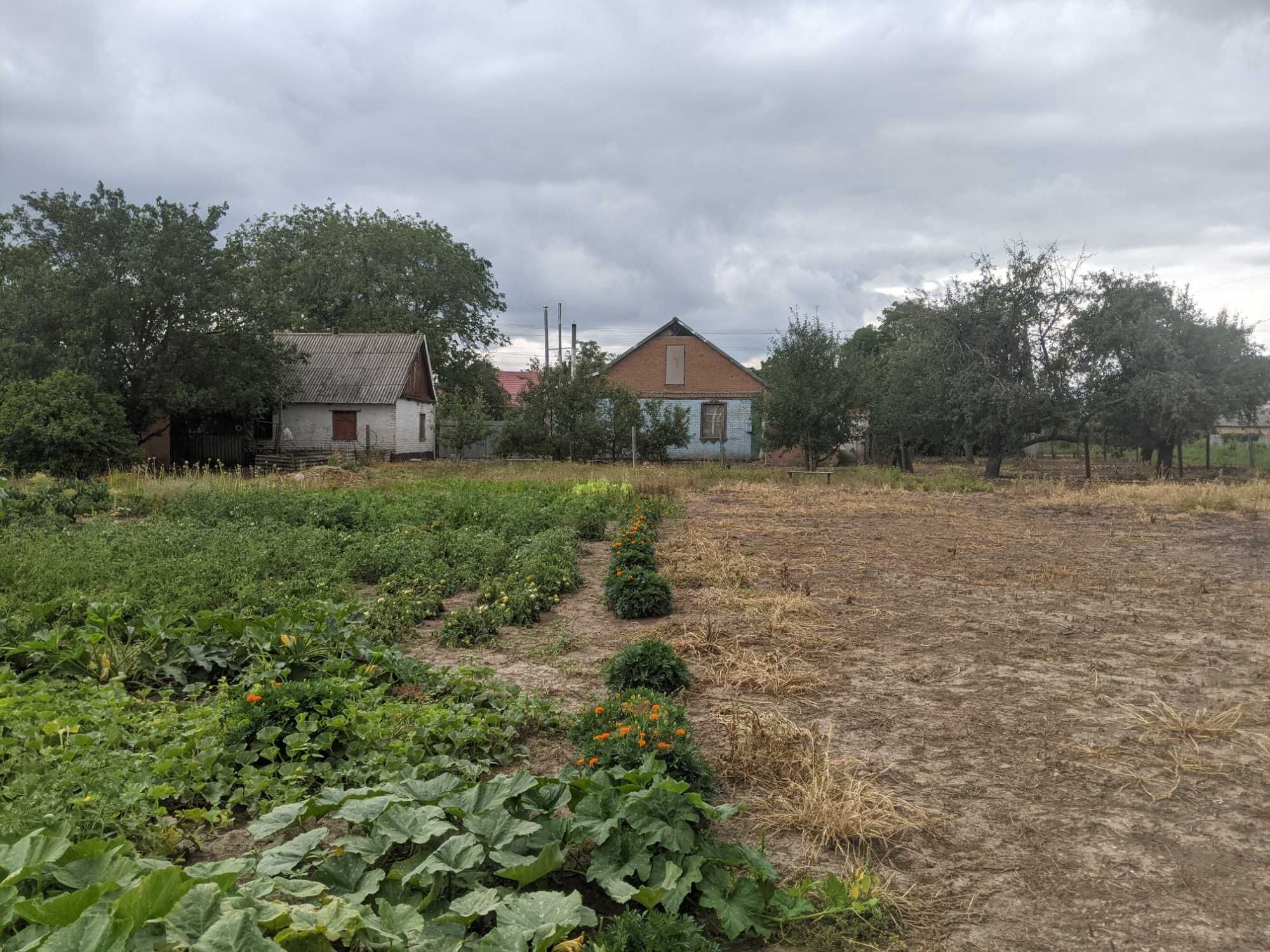 Будинок в Супрунівці