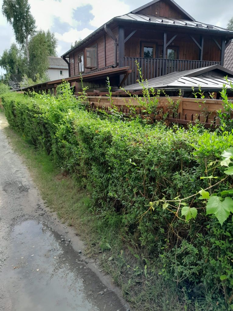 Duży domek nad jeziorem Białym