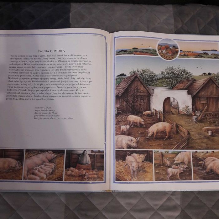 Spotkania ze zwierzętami śliczna książka dla dzieci, zwierzęta domowe