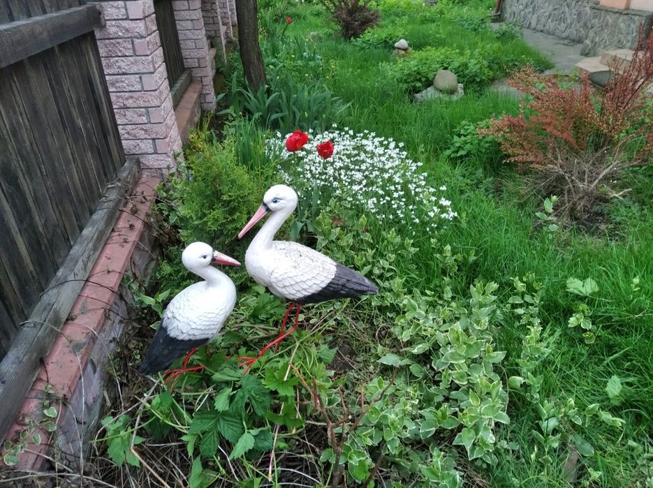 продам земельну ділянку,по трасі львів іванофранківськ