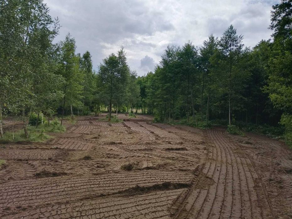 Mulczowanie mulczer leśny karczowanie frezowanie czyszczenie działek