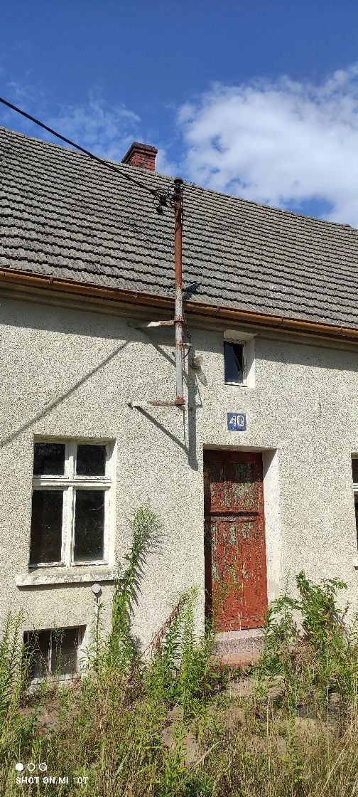 Sprzedam gospodarstwo