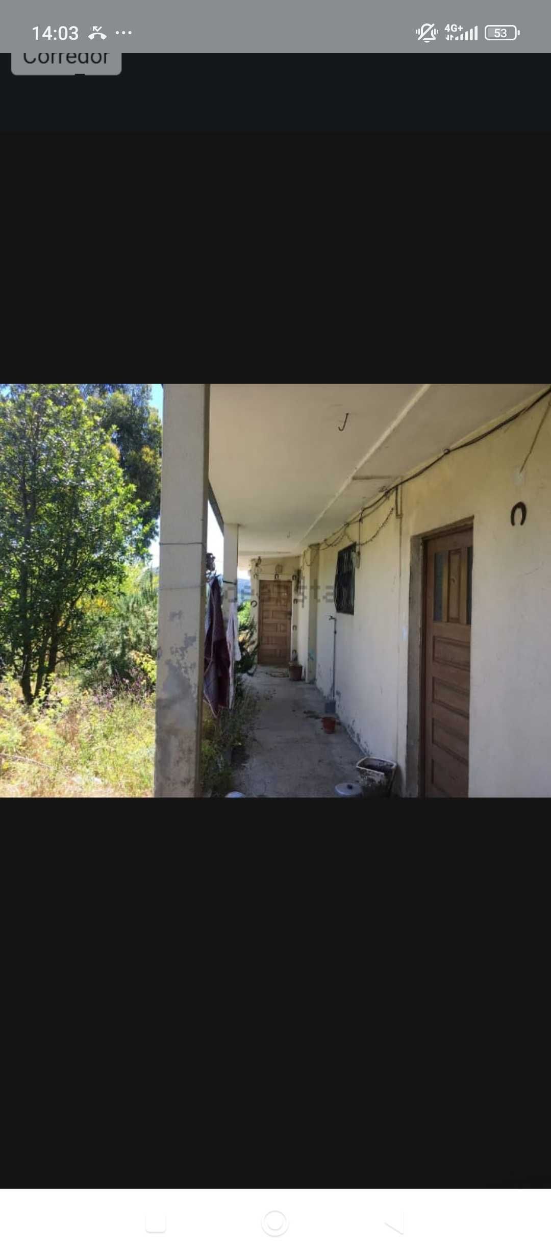QUINTA C/Moradia -Solar C/15.000 M2
