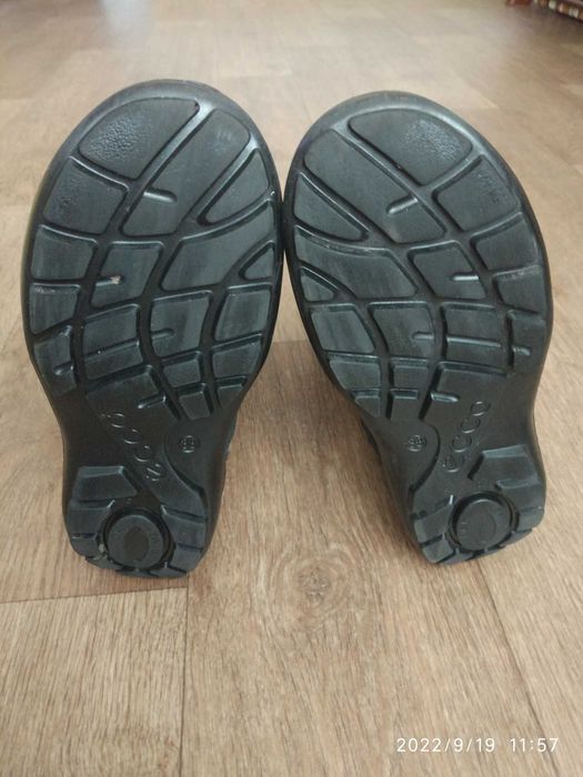 Сапоги Ecco осень-зимна женские/подростковые  38 р., стелька 24 см