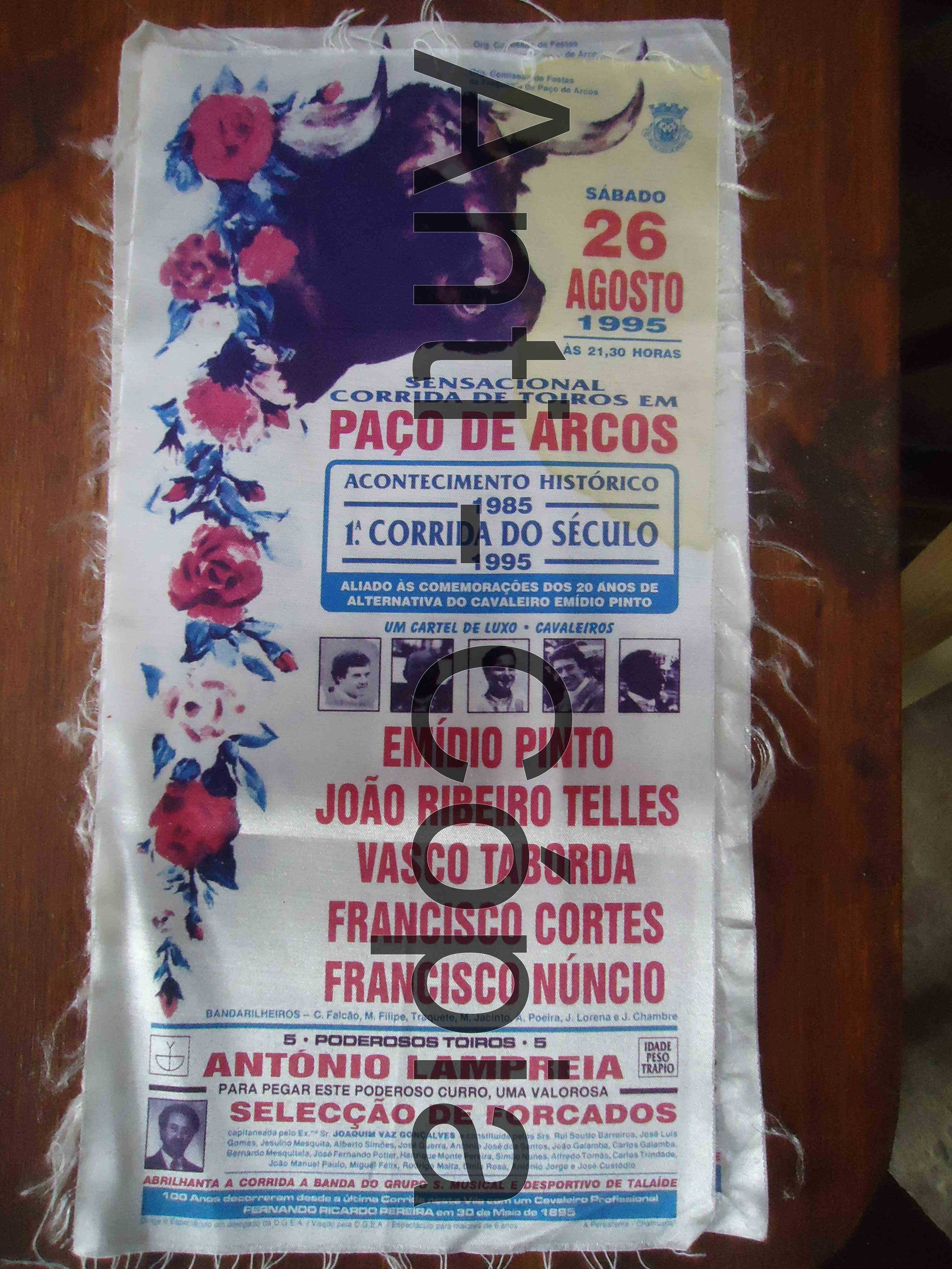 Toiros - Programas em Seda 4