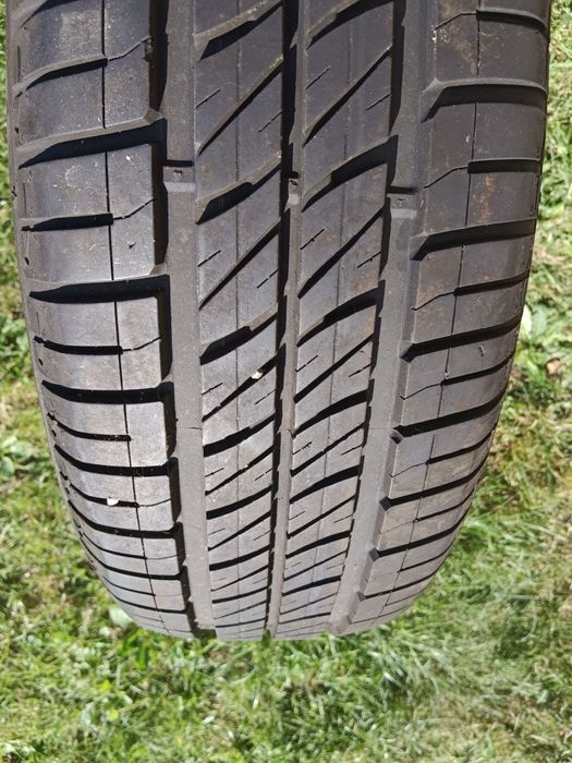 Opony 15 cali 195/65 Dębica Passio 2