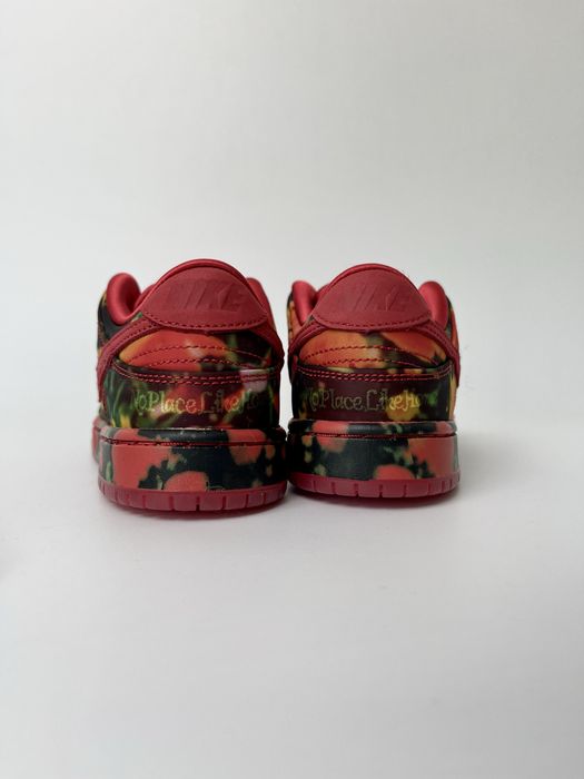Оригинал Nike SB Dunk Low The Wizard of Oz Poppy Field PS (FZ1236 600)