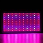 Lampa LED 300W grow uprawa bazylia pomidorki i inne zioła