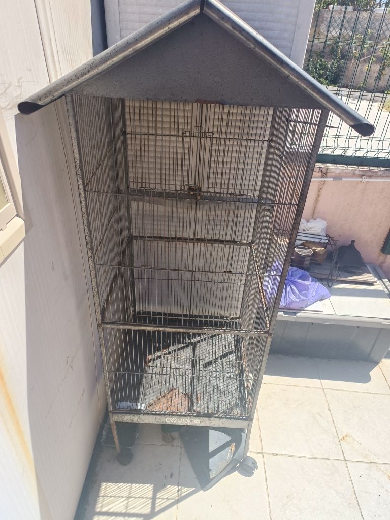 Gaiola para Caturra