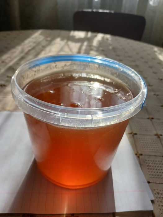 Свіжий мед, 2025 р.