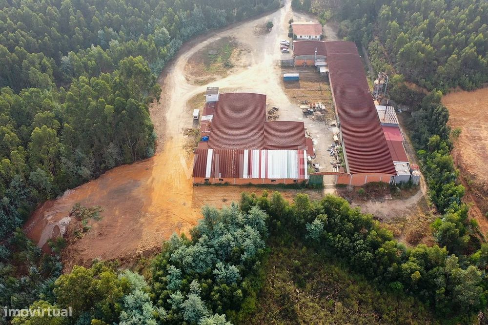 Armazém / Instalação Industrial – Aguada de Cima, Águeda