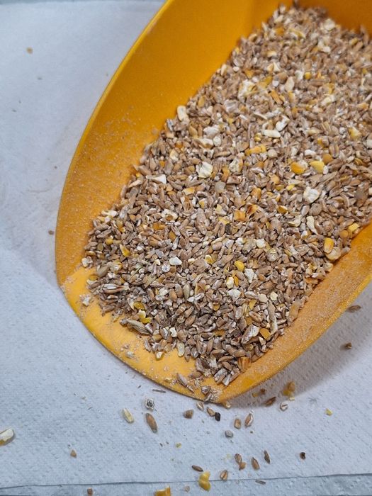 Pasza Karma Dla Kur Niosek