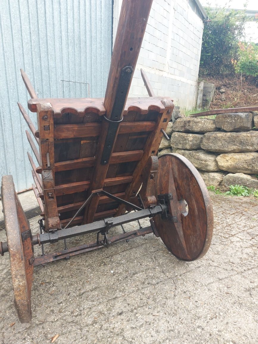 Vendo carro de bois