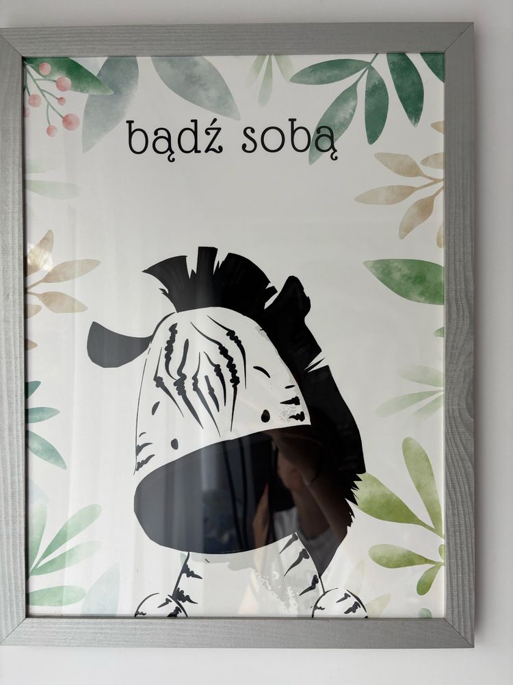 Zestaw obrazków ze zwierzętami