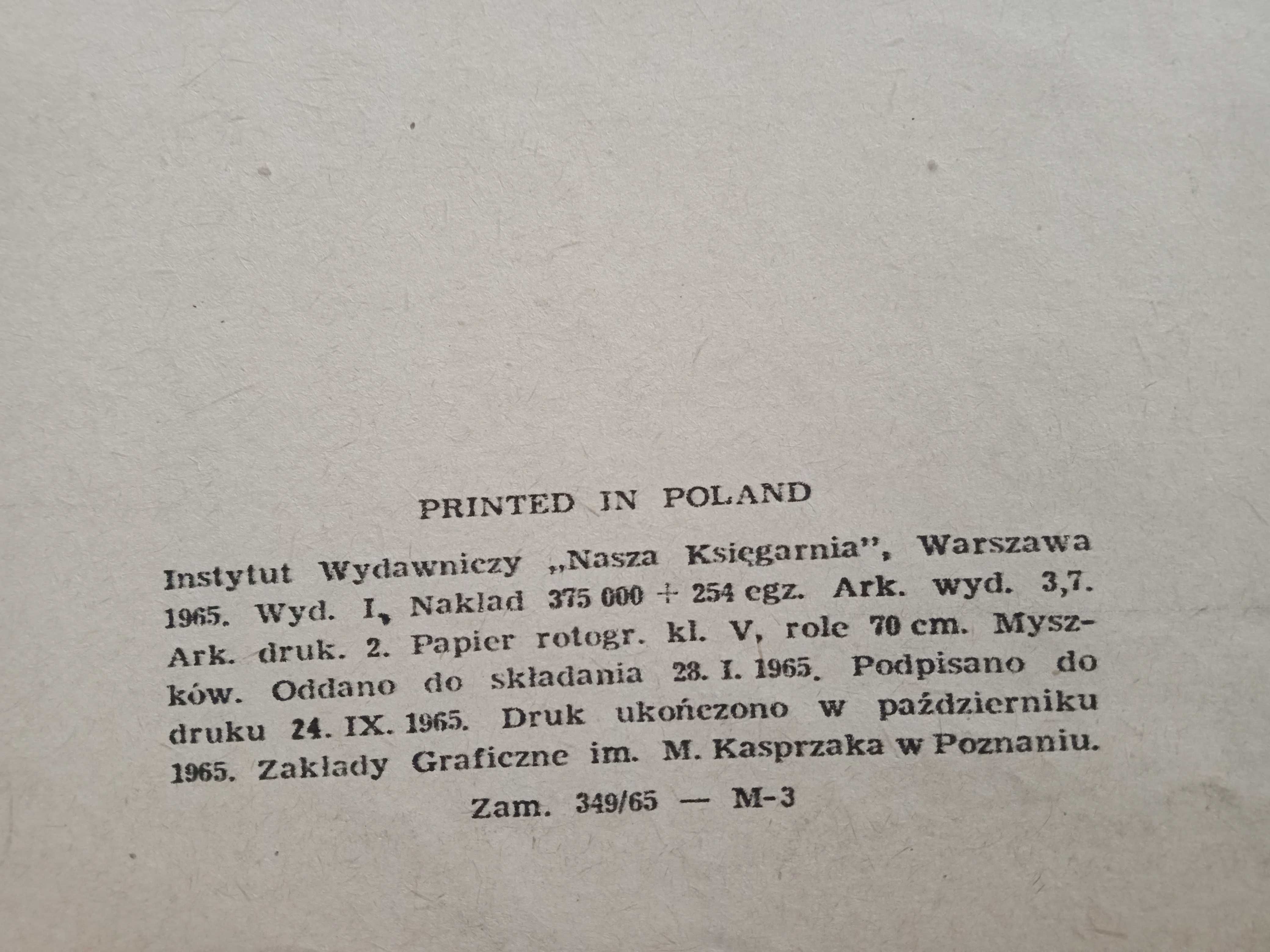 Pies z ulicy Bałamutów. Chotomska. Bisko