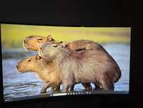 Monitor Acer Nitro ED240QS3bmiipx 23,6" Full HD