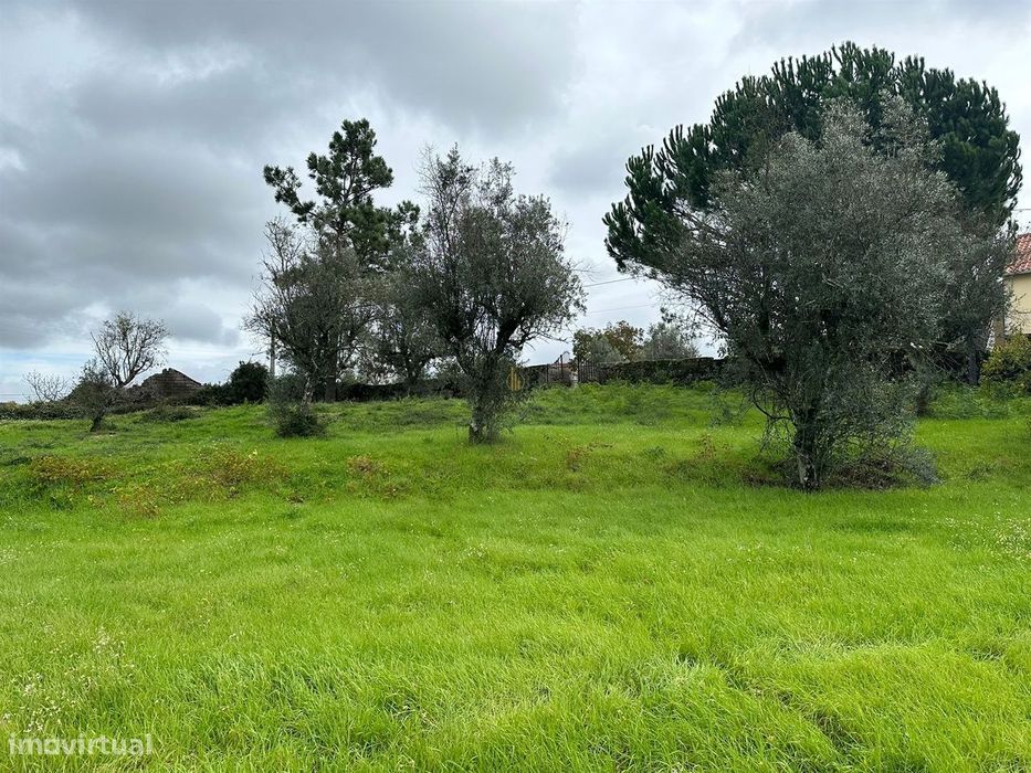 Lote de Terreno  Venda em Silgueiros,Viseu