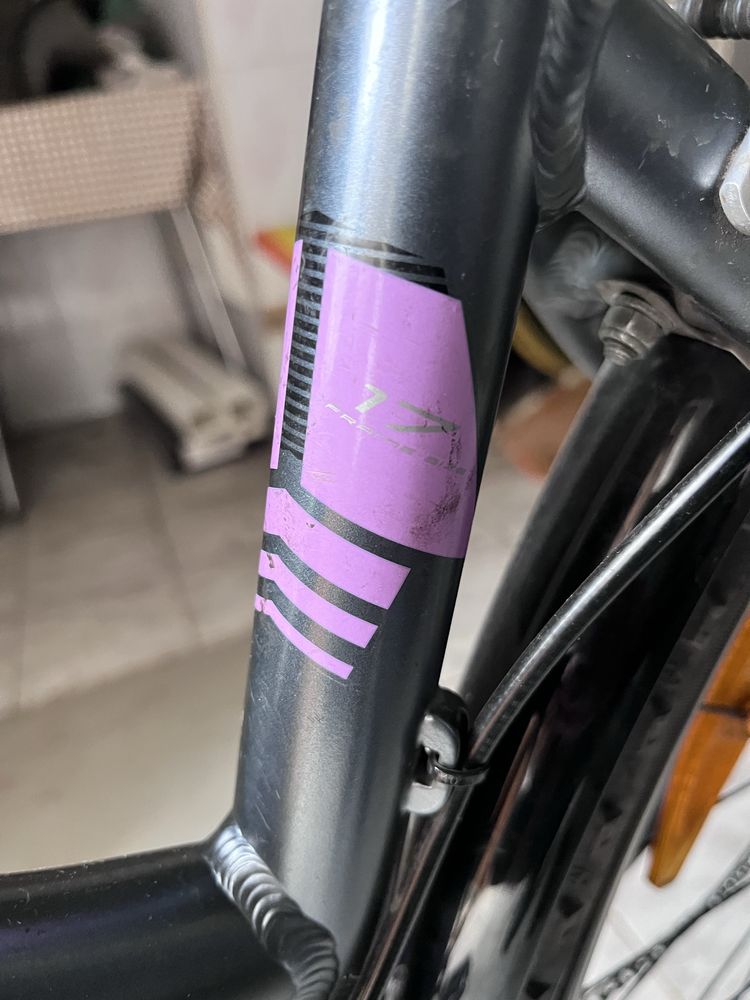 Rower Author integra 17”