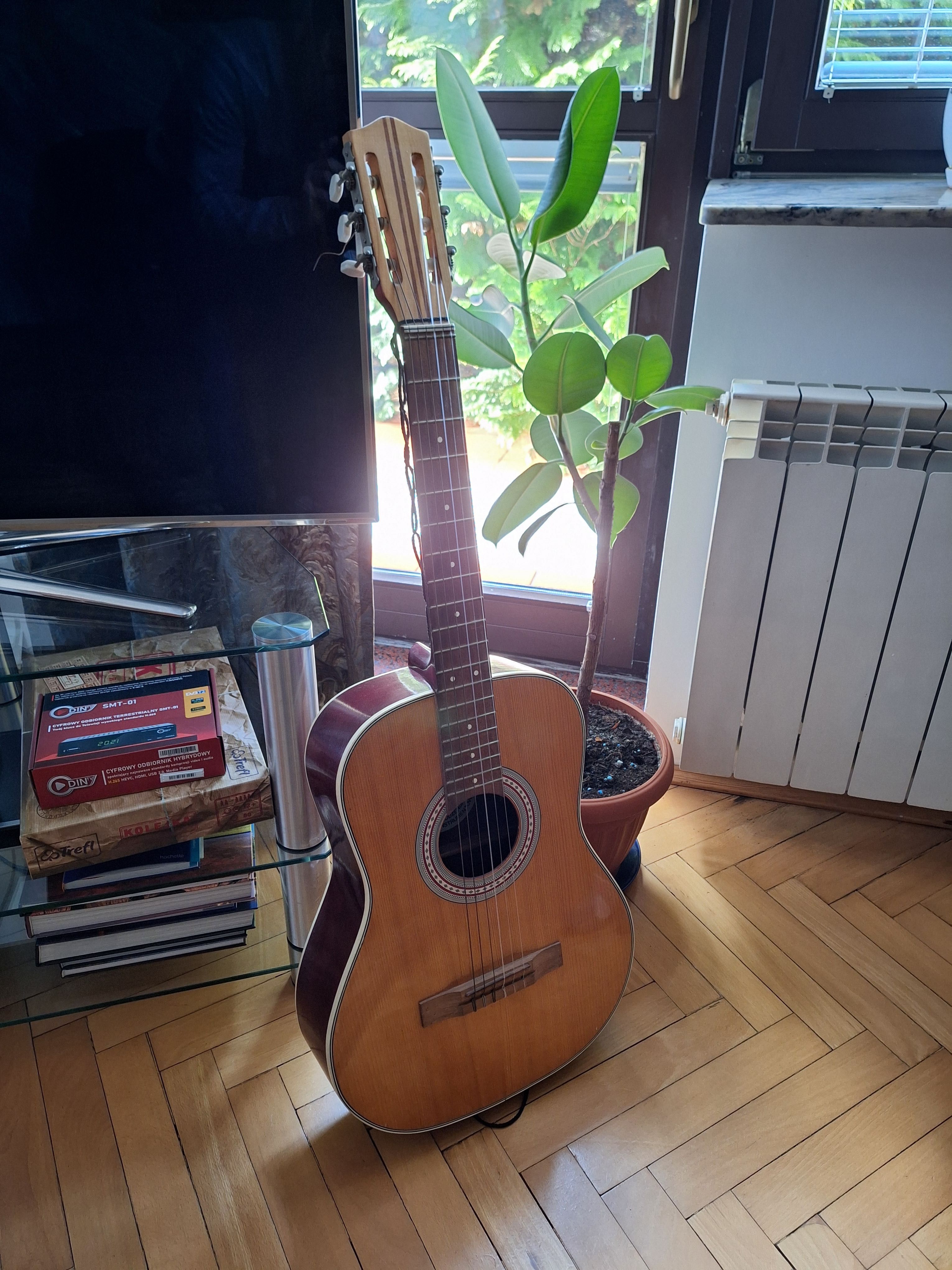 Gitara akustyczna